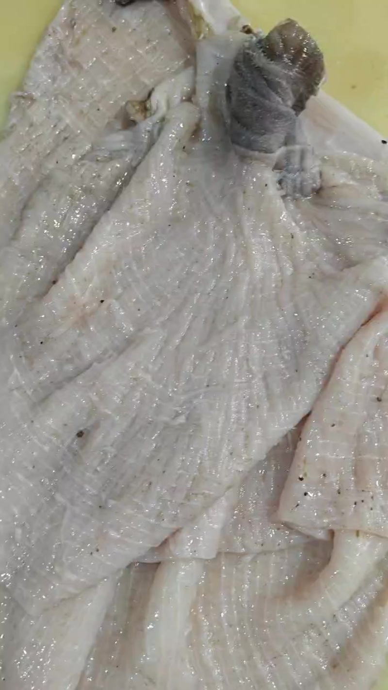 去油干净的鲜毛肚底板，鲜牛百叶底板，鲜毛肚梗子大量出货
