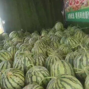 美都二茬