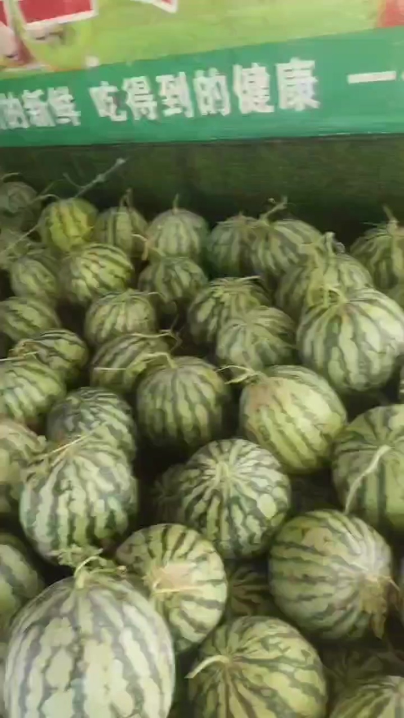 美都二茬