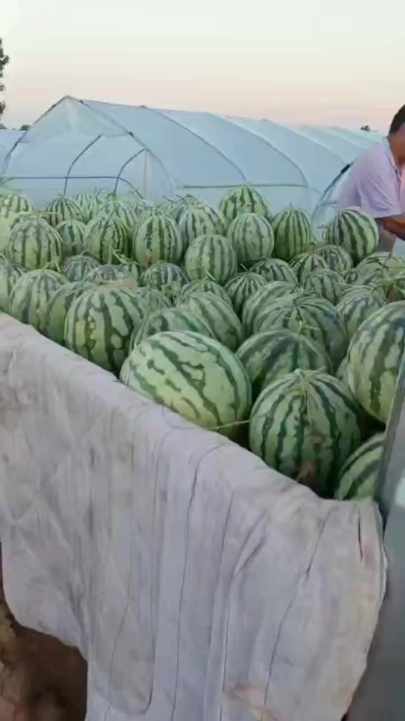美都二茬