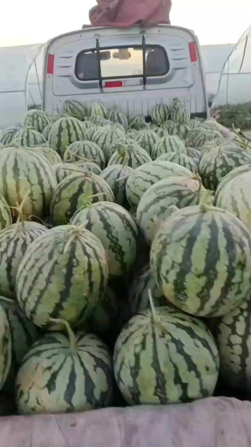 美都二茬