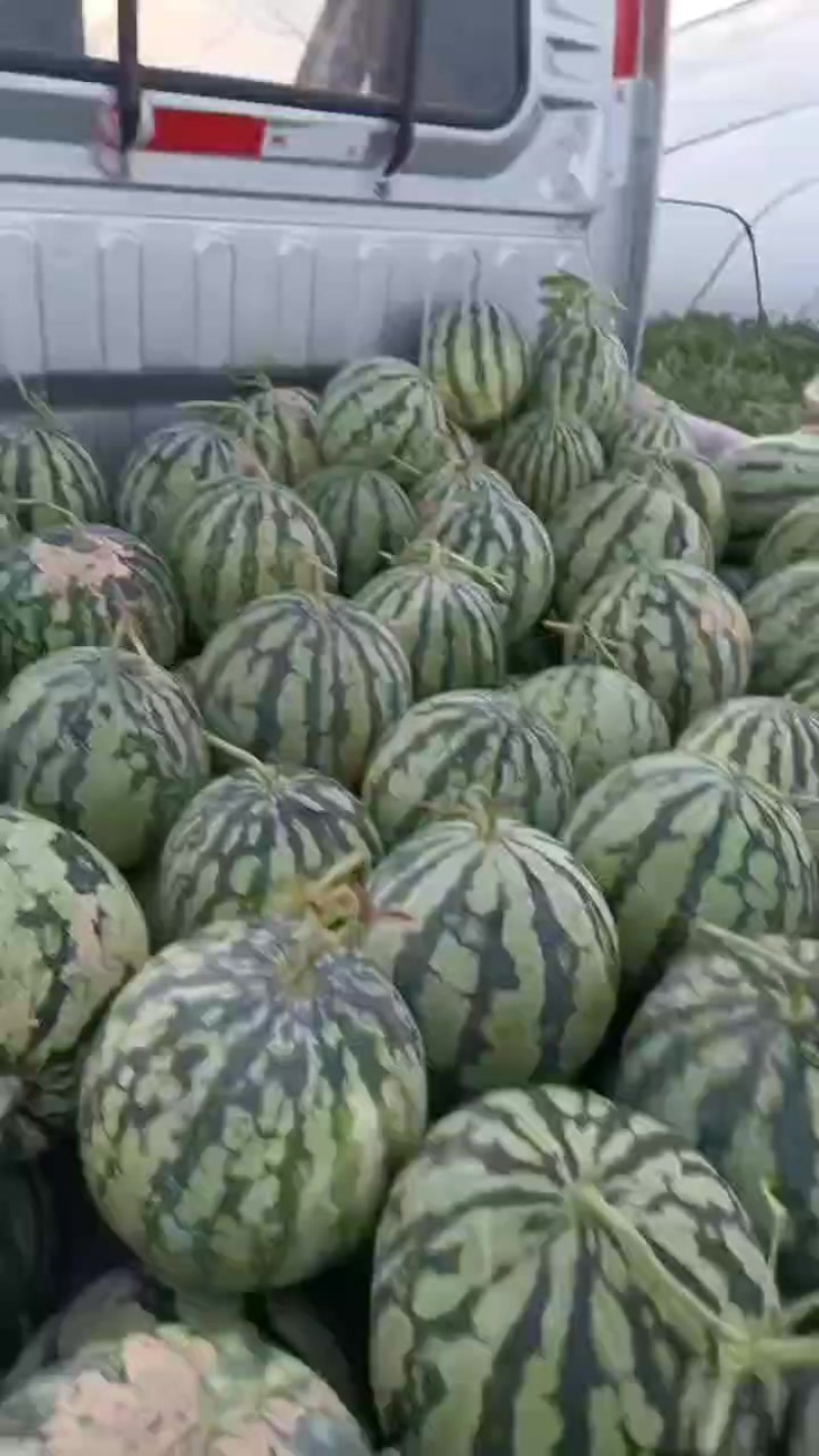 美都二茬