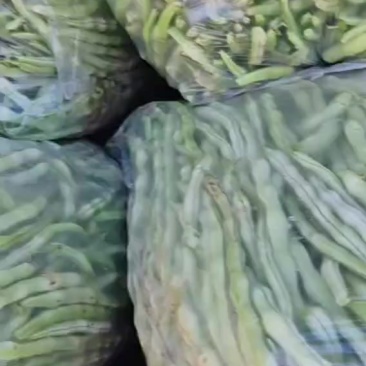 白无丝豆角大量有货