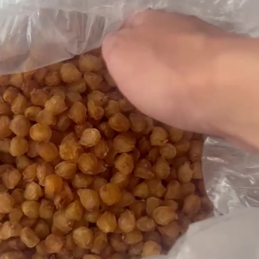 桂圆