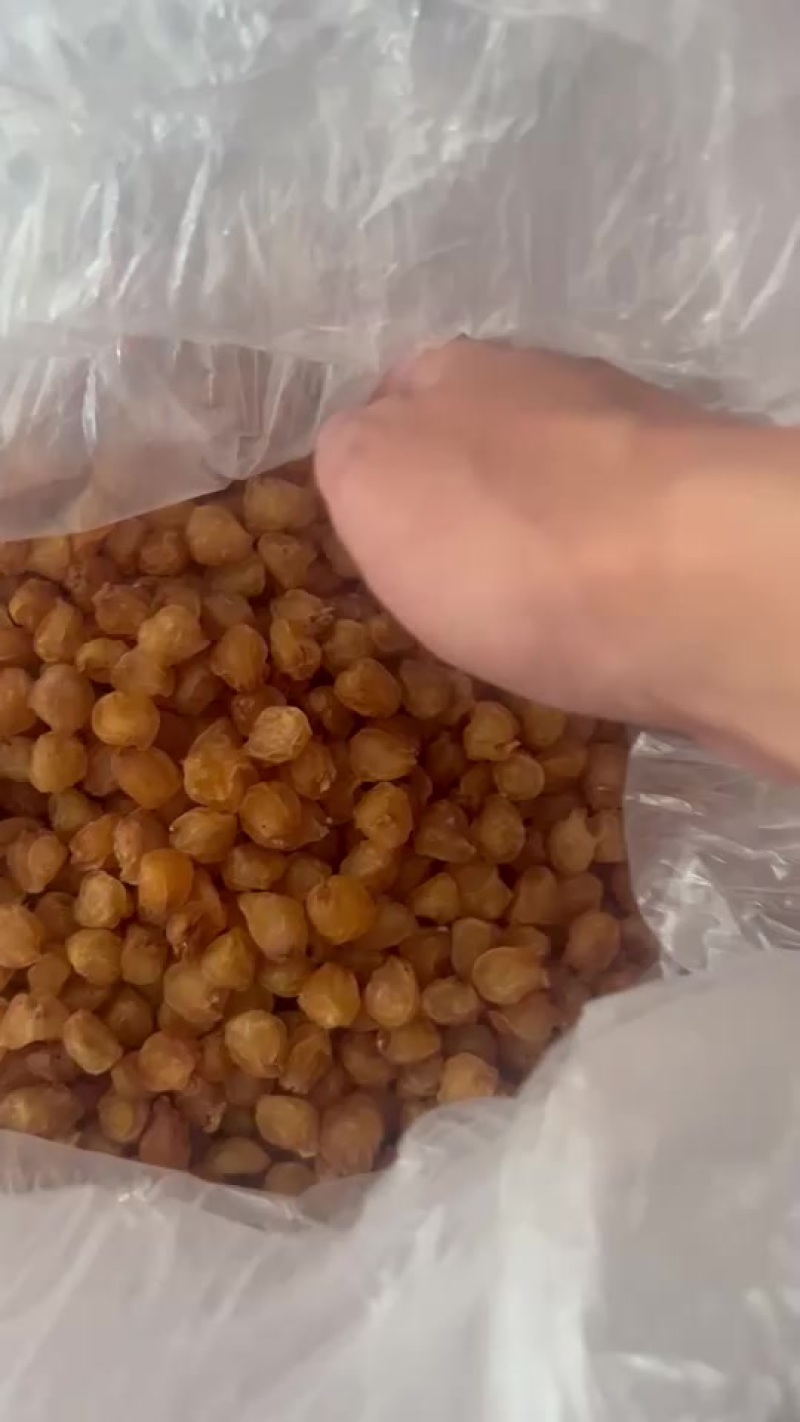 桂圆