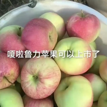各种水果