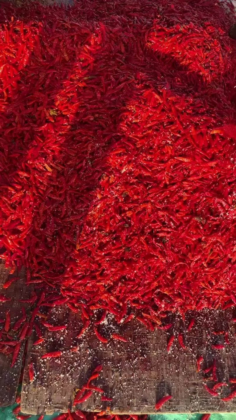 盐渍辣椒