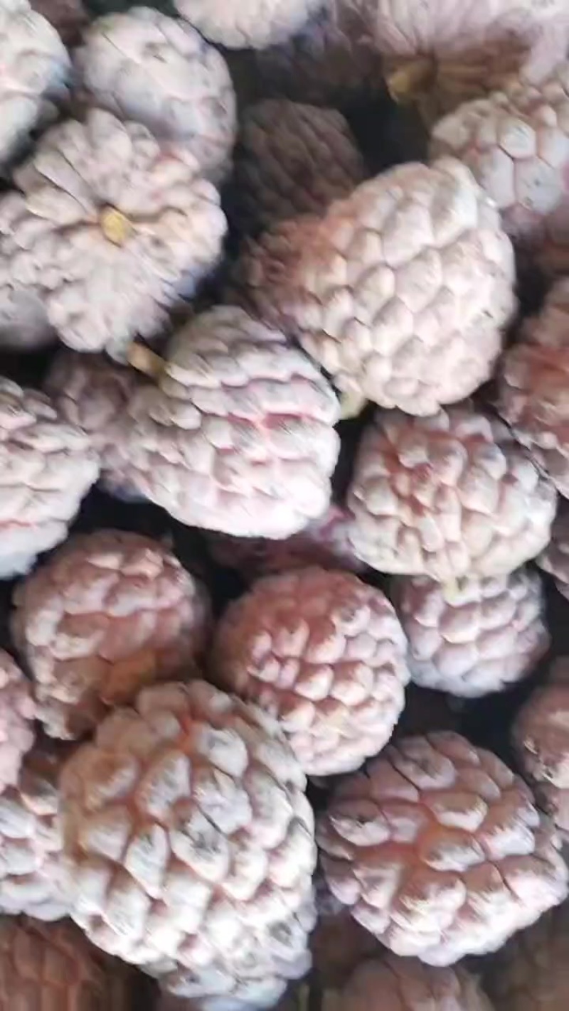 热带水果