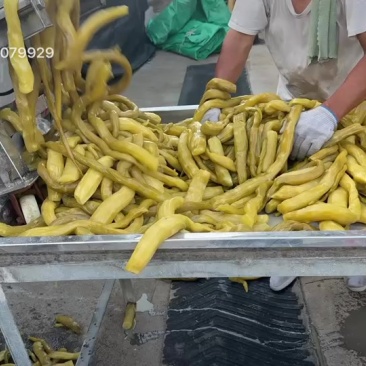 腌制莴苣