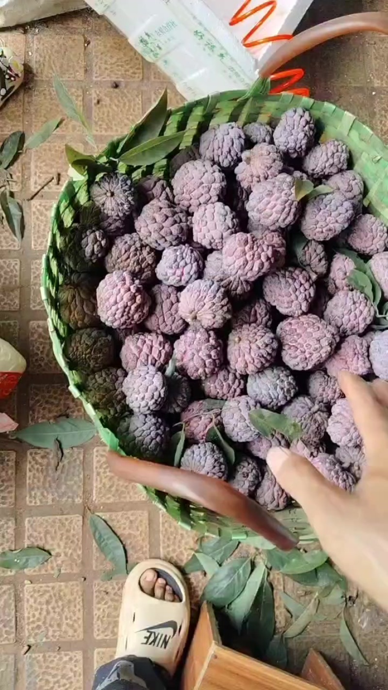 热带水果