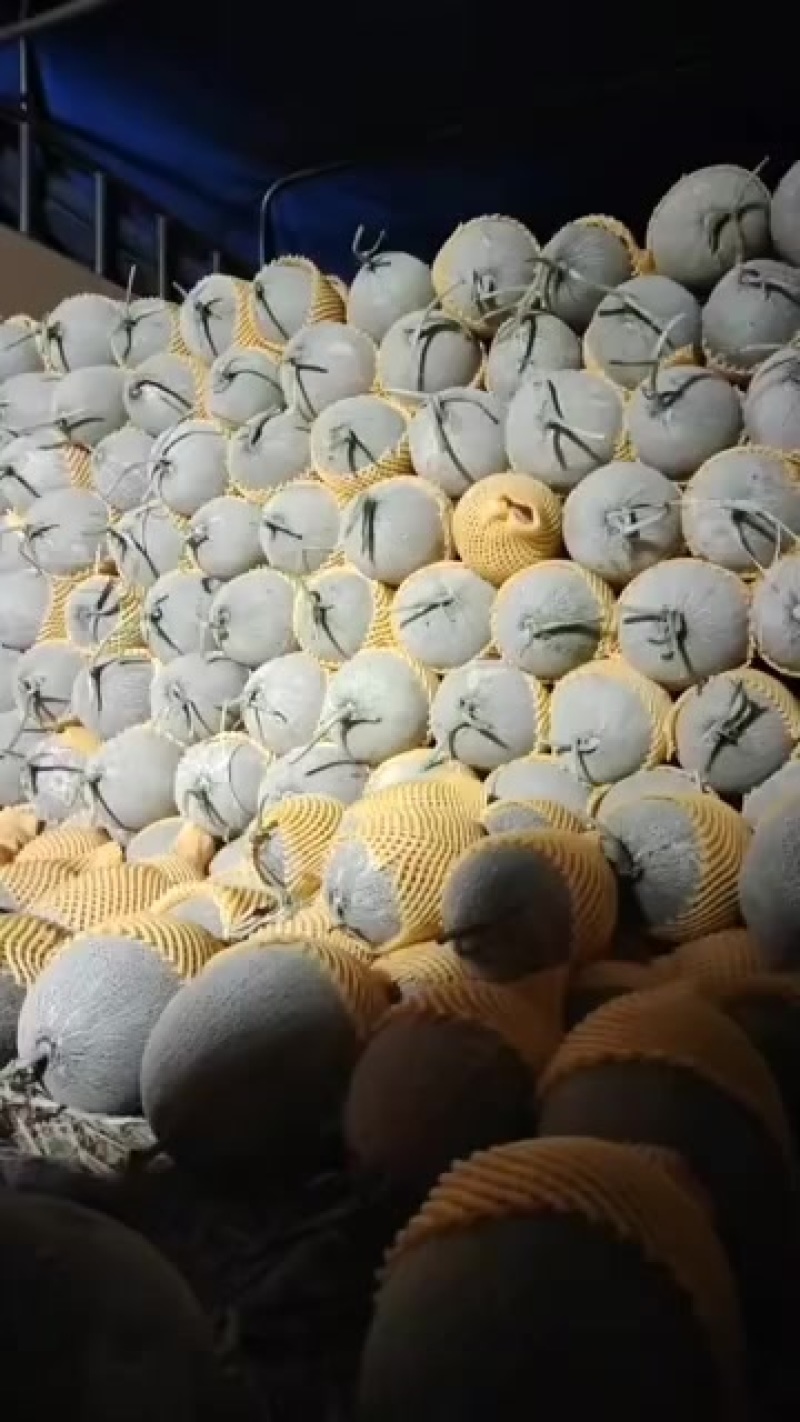 哈密瓜