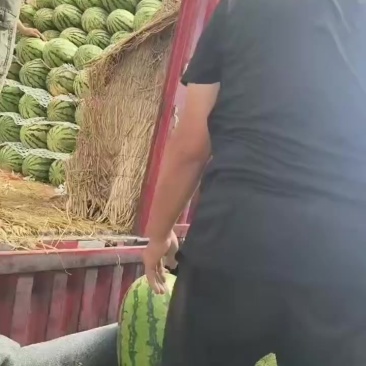 石榴西瓜爱媛耙耙柑砂糖橘