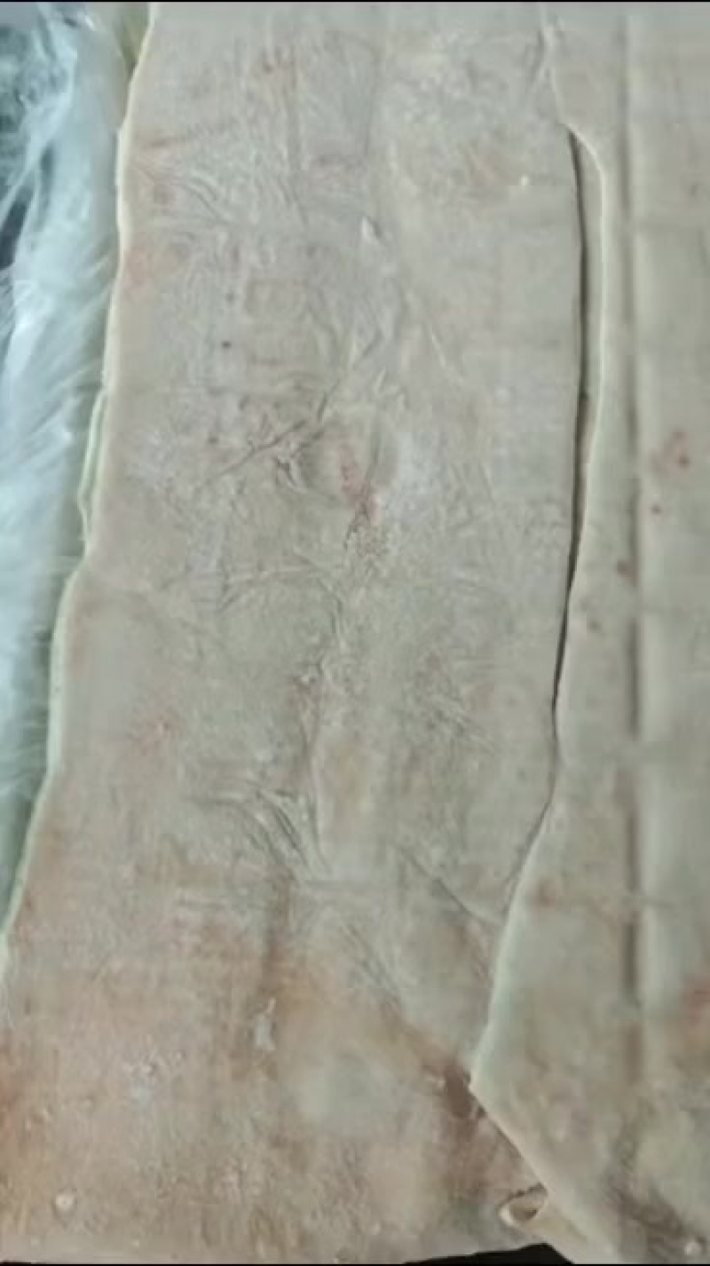 脊皮