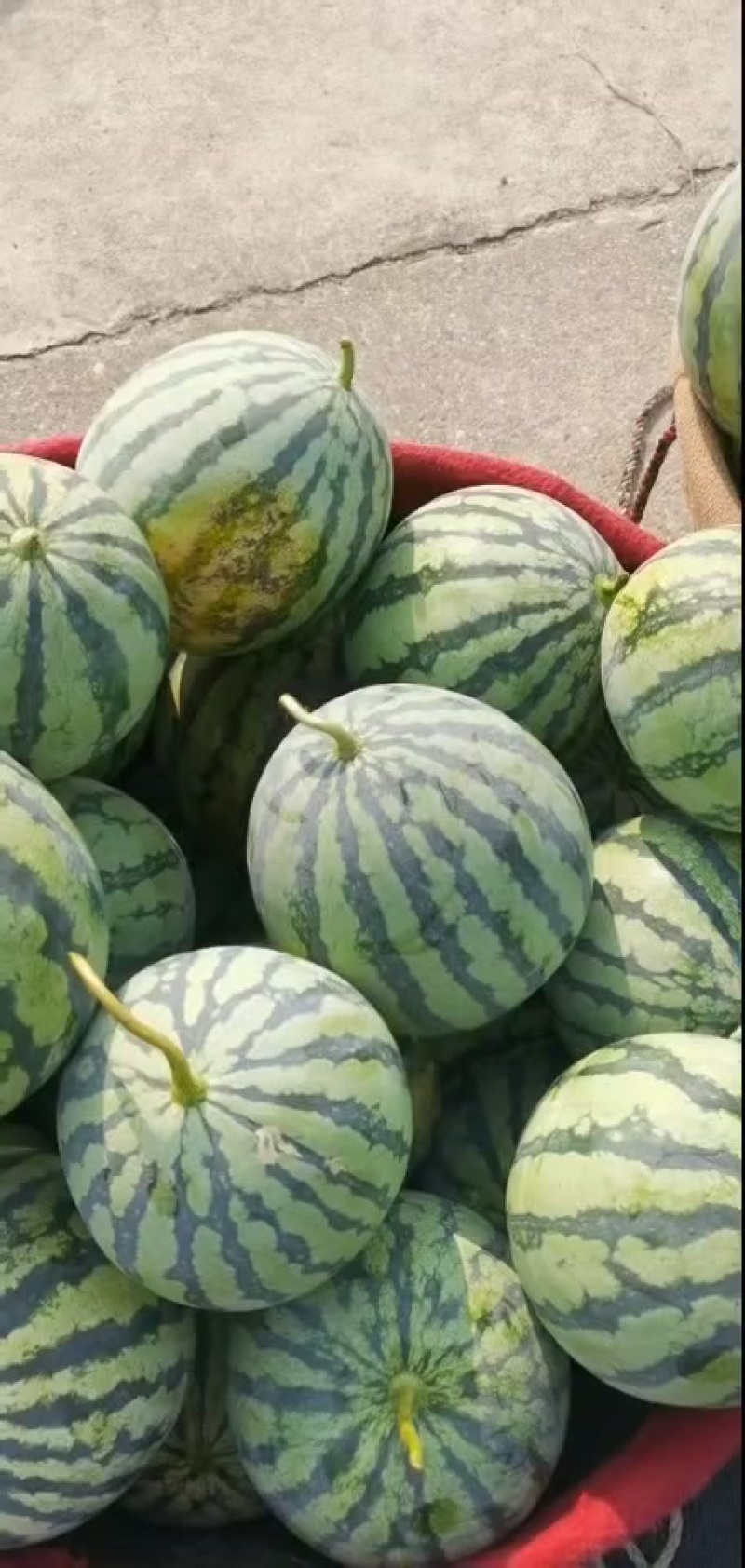 美都