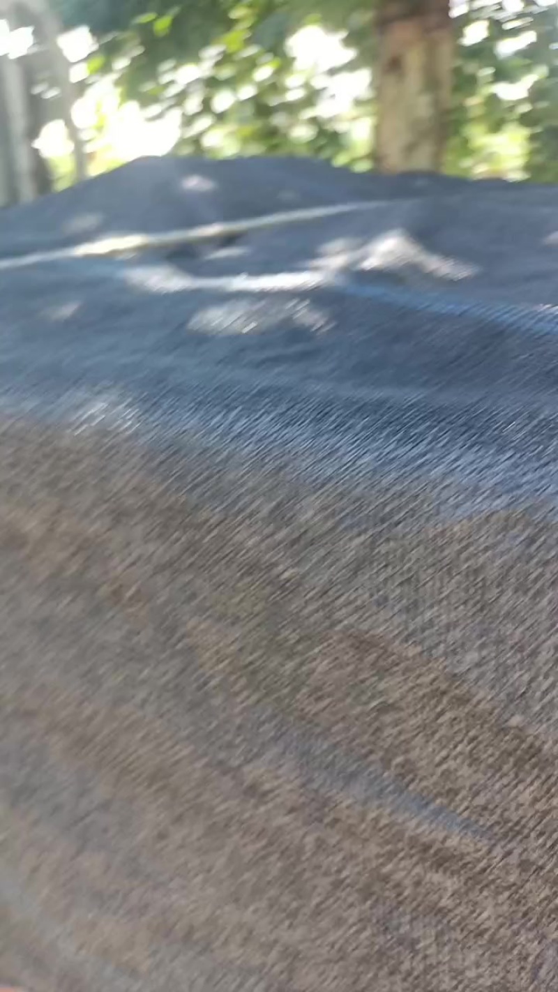 元黄梨