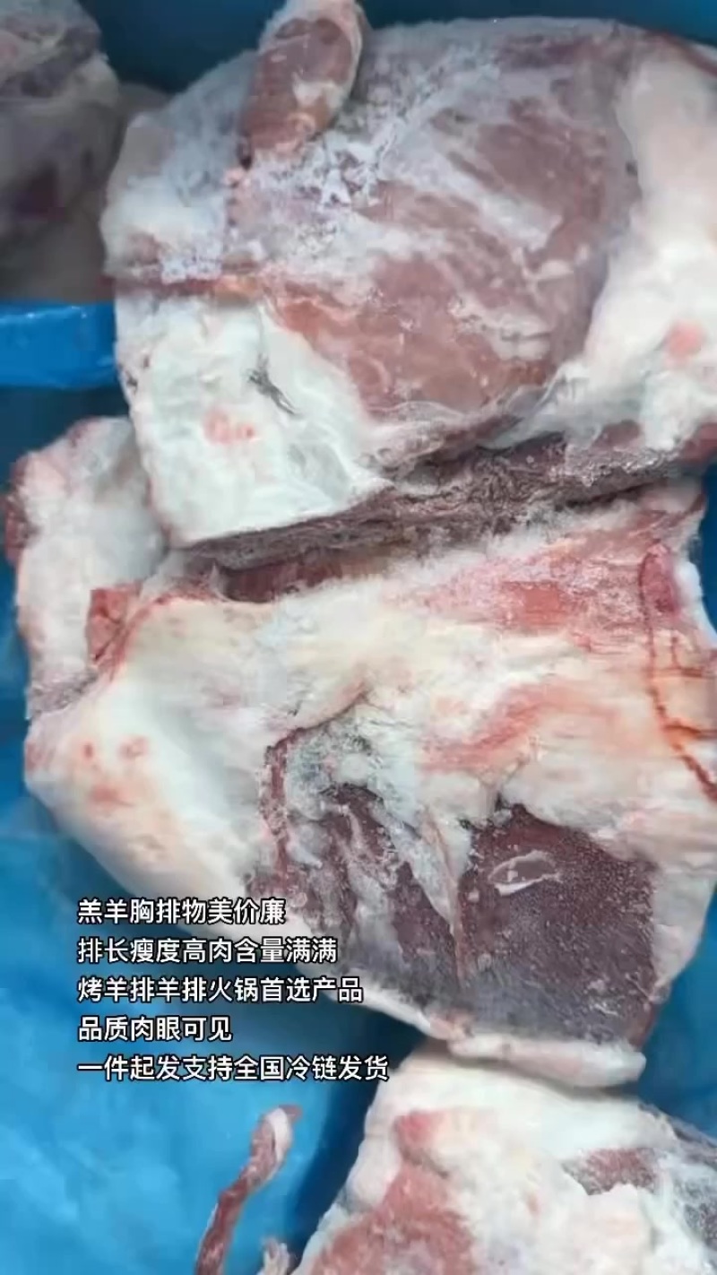 羔羊胸排物美价廉