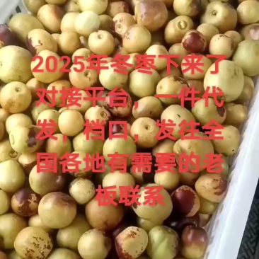 冬枣