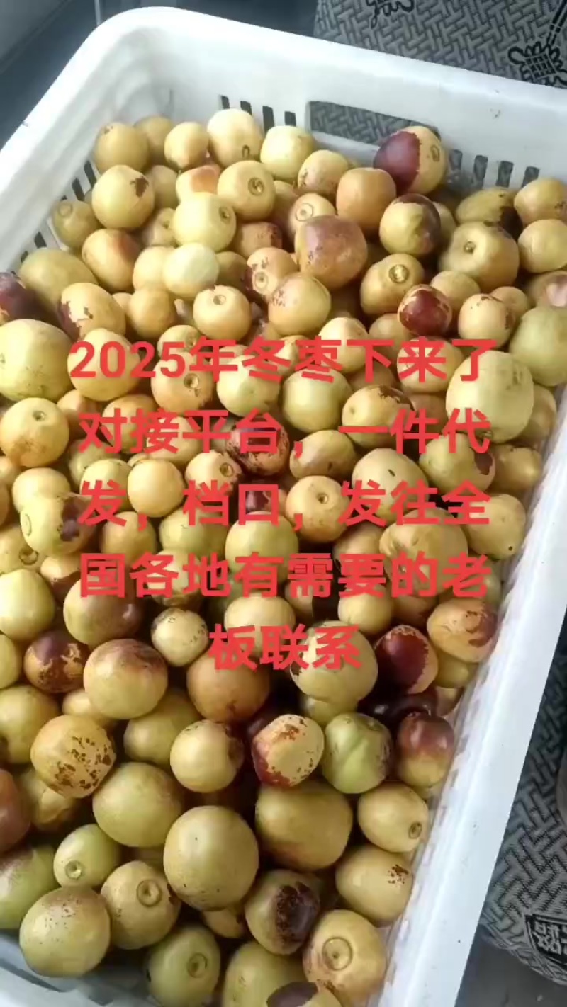 冬枣