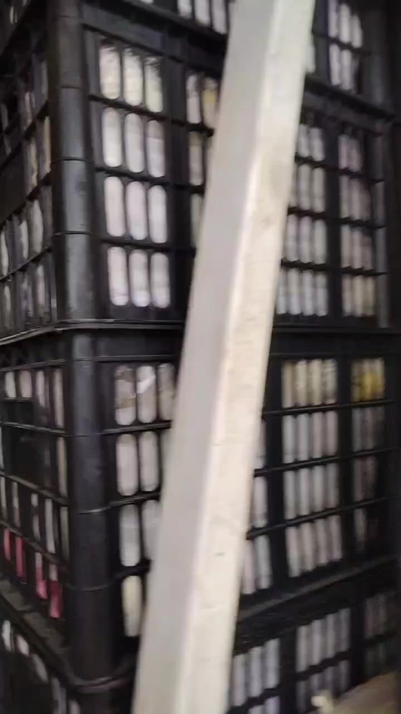 河北泊头皇冠鸭梨