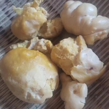 鸡宝