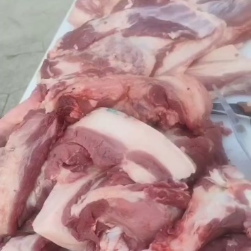 跑山猪猪肉鲜美，肉质紧实，煎，炸，卤都试合！高山散养，味正！