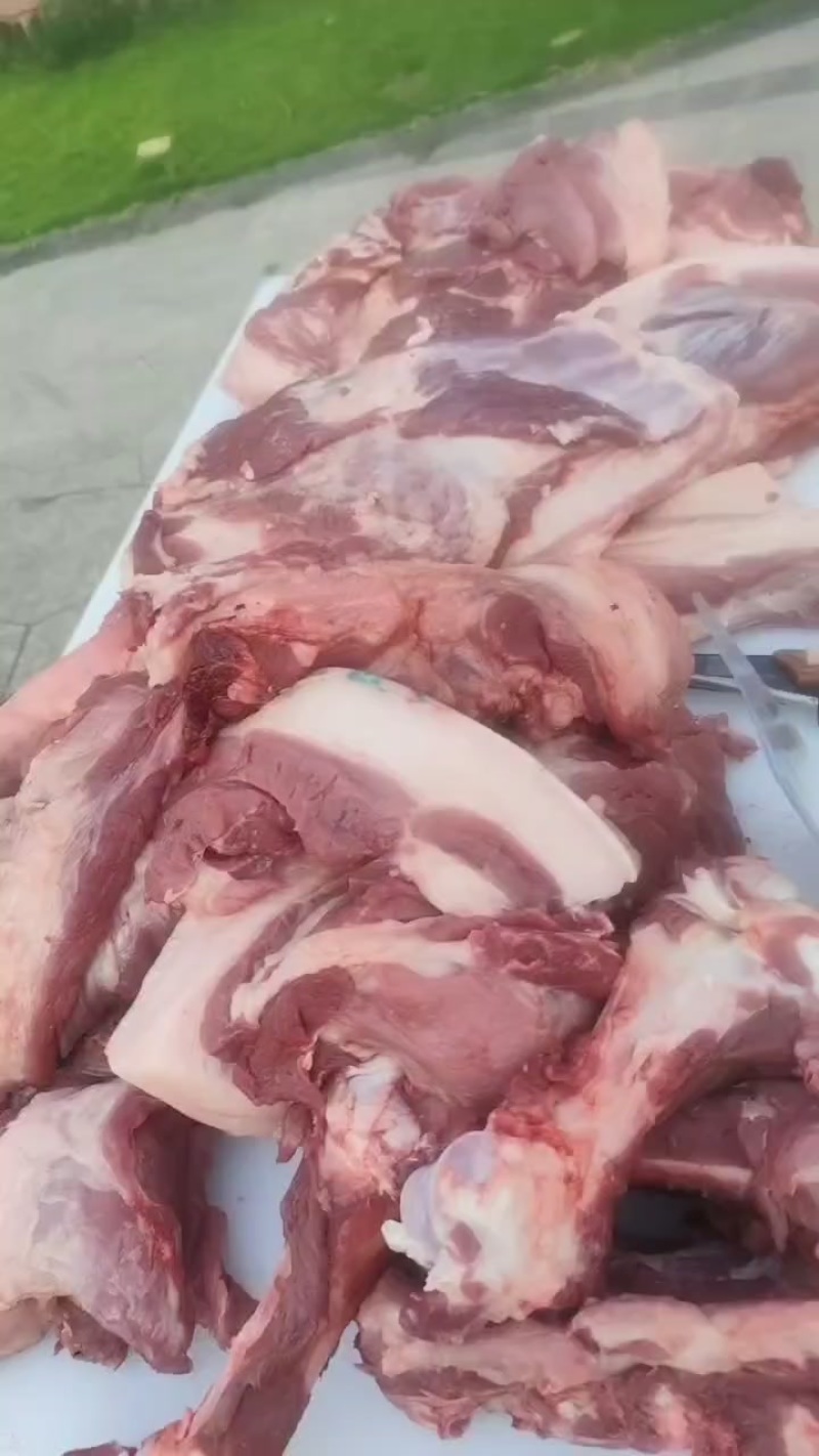 跑山猪猪肉鲜美，肉质紧实，煎，炸，卤都试合！高山散养，味正！
