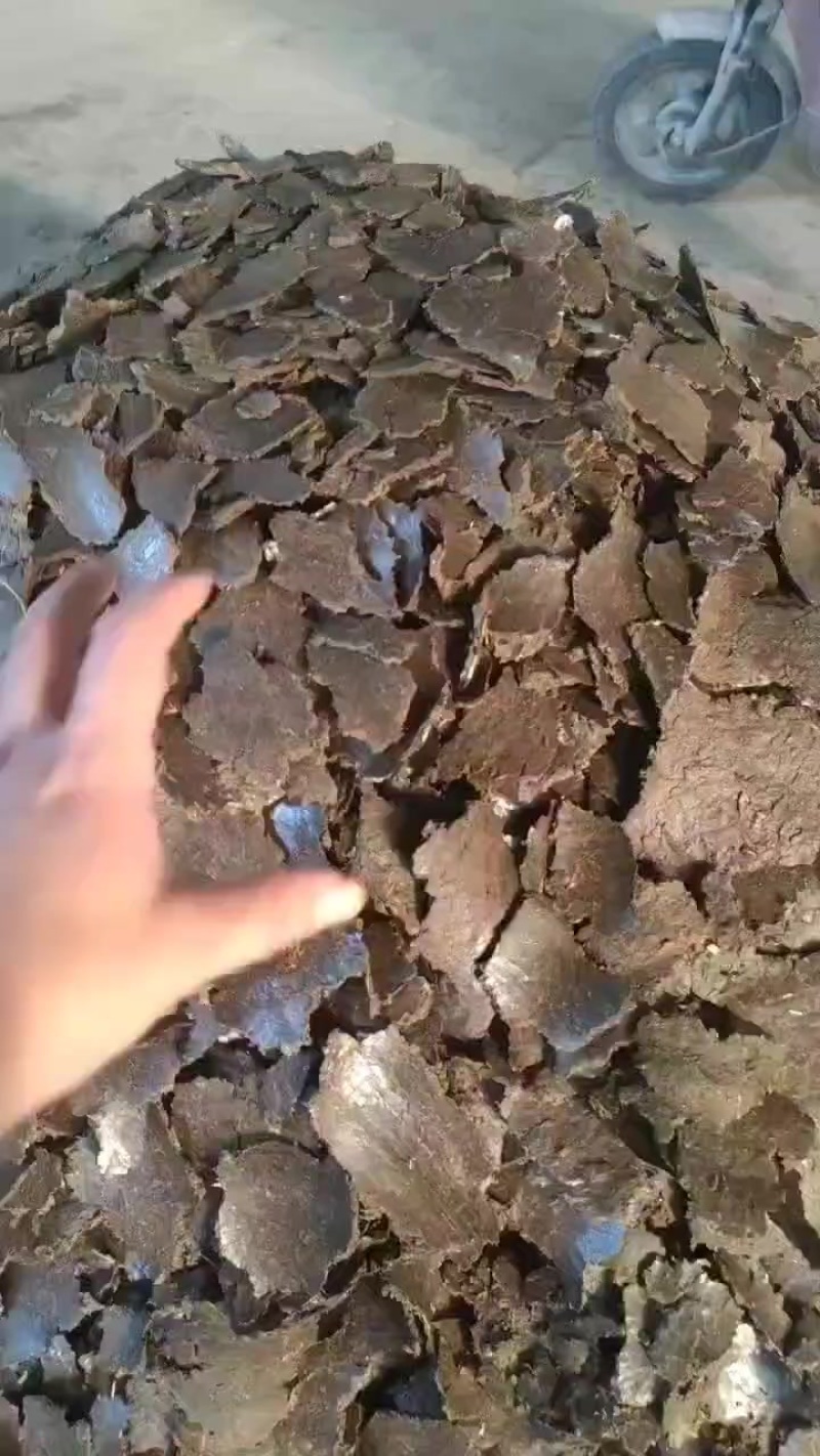 棉籽饼