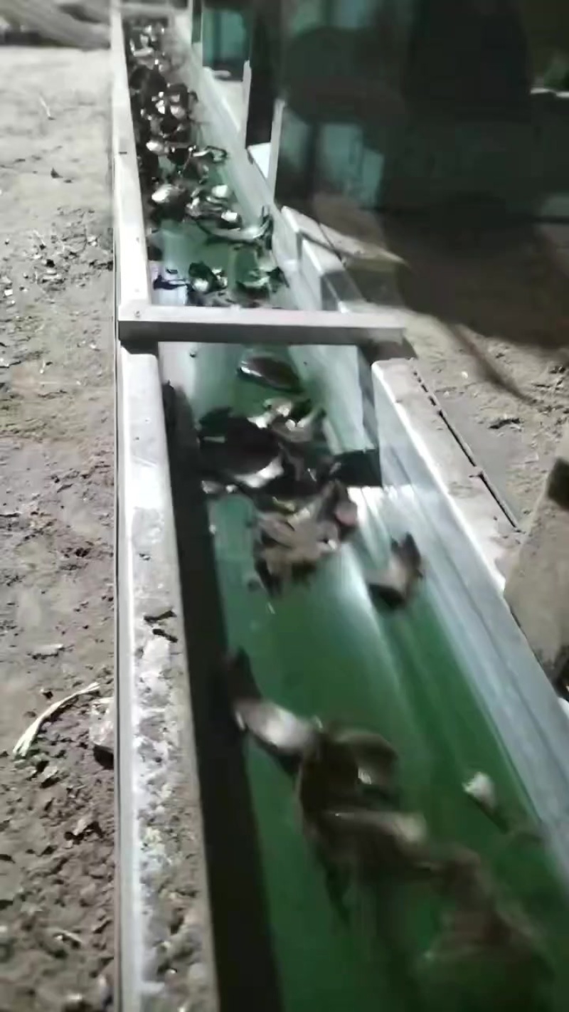 棉籽饼