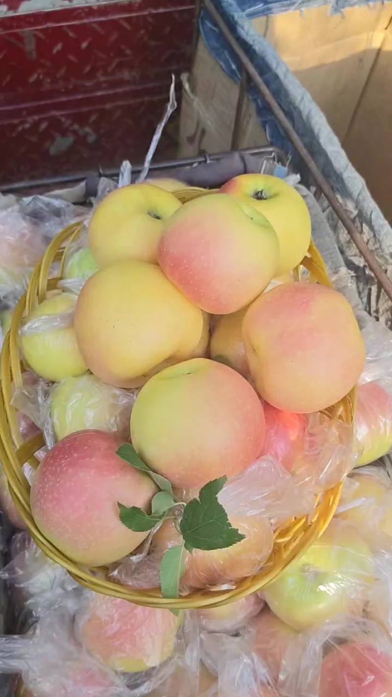 嘎啦苹果