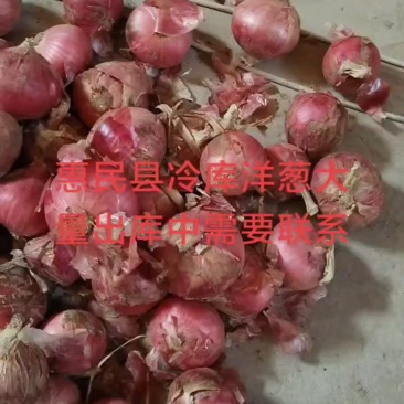 大量现货
