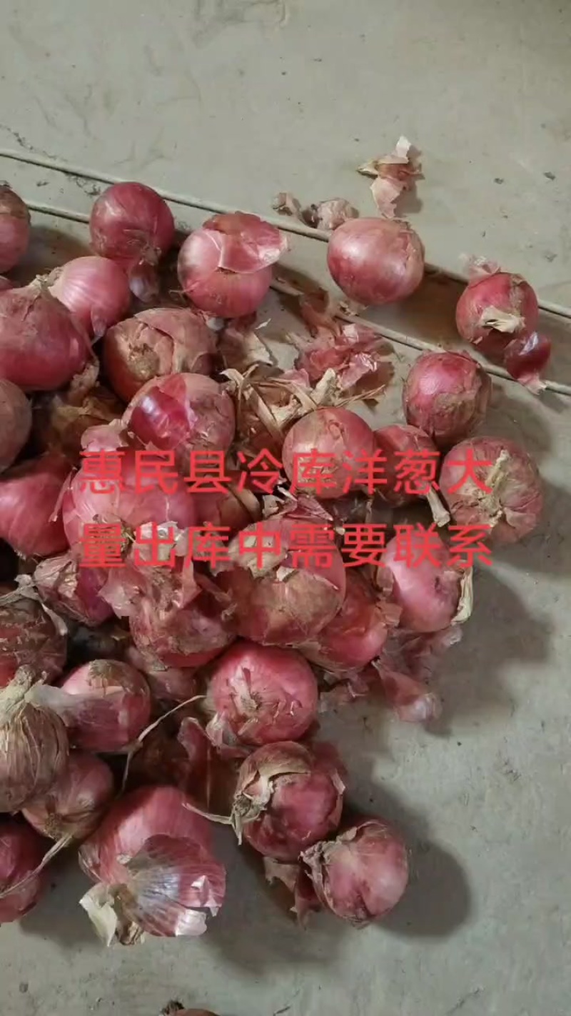 大量现货