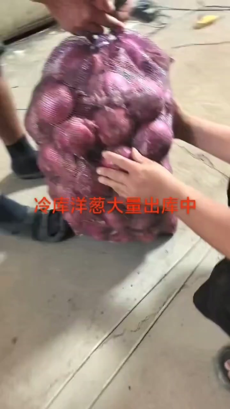 大量现货