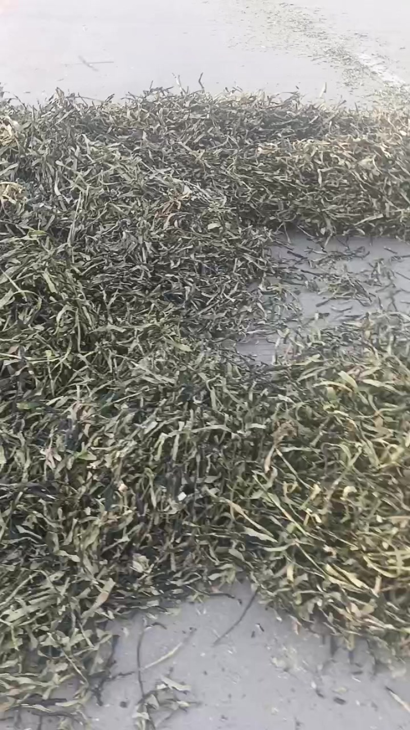 精品晒货，低价出售