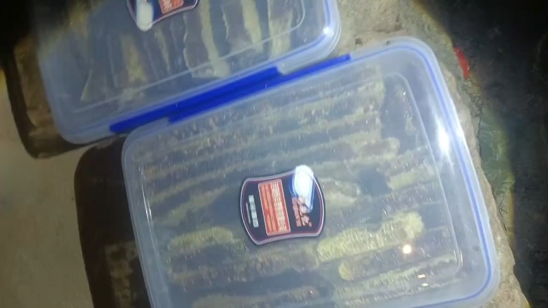 土蜂蜜