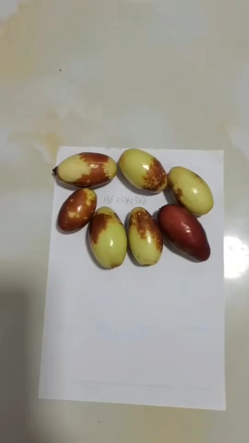 马牙枣通货