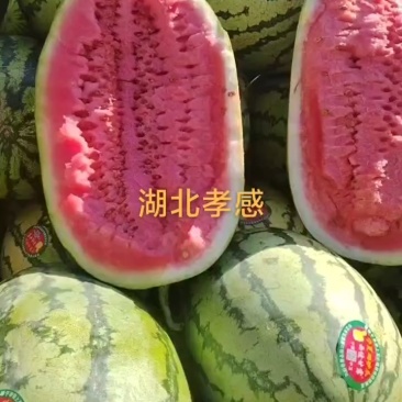 宁夏硒砂瓜
