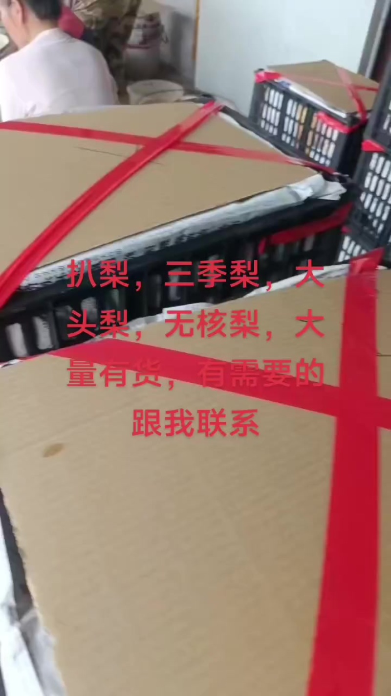 扒梨，三季梨，大头梨，无核梨，大量有货，有需要的跟我联系