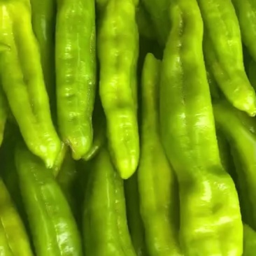 辣椒