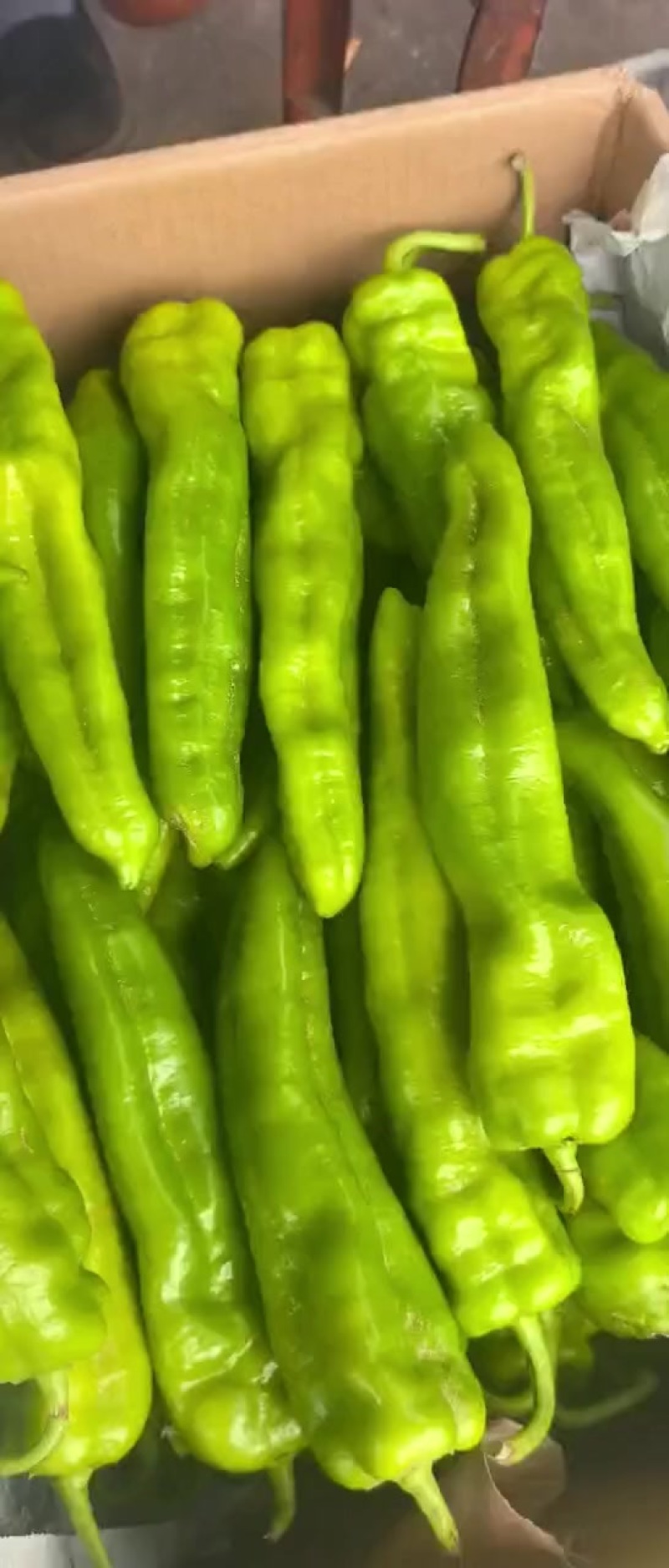 辣椒