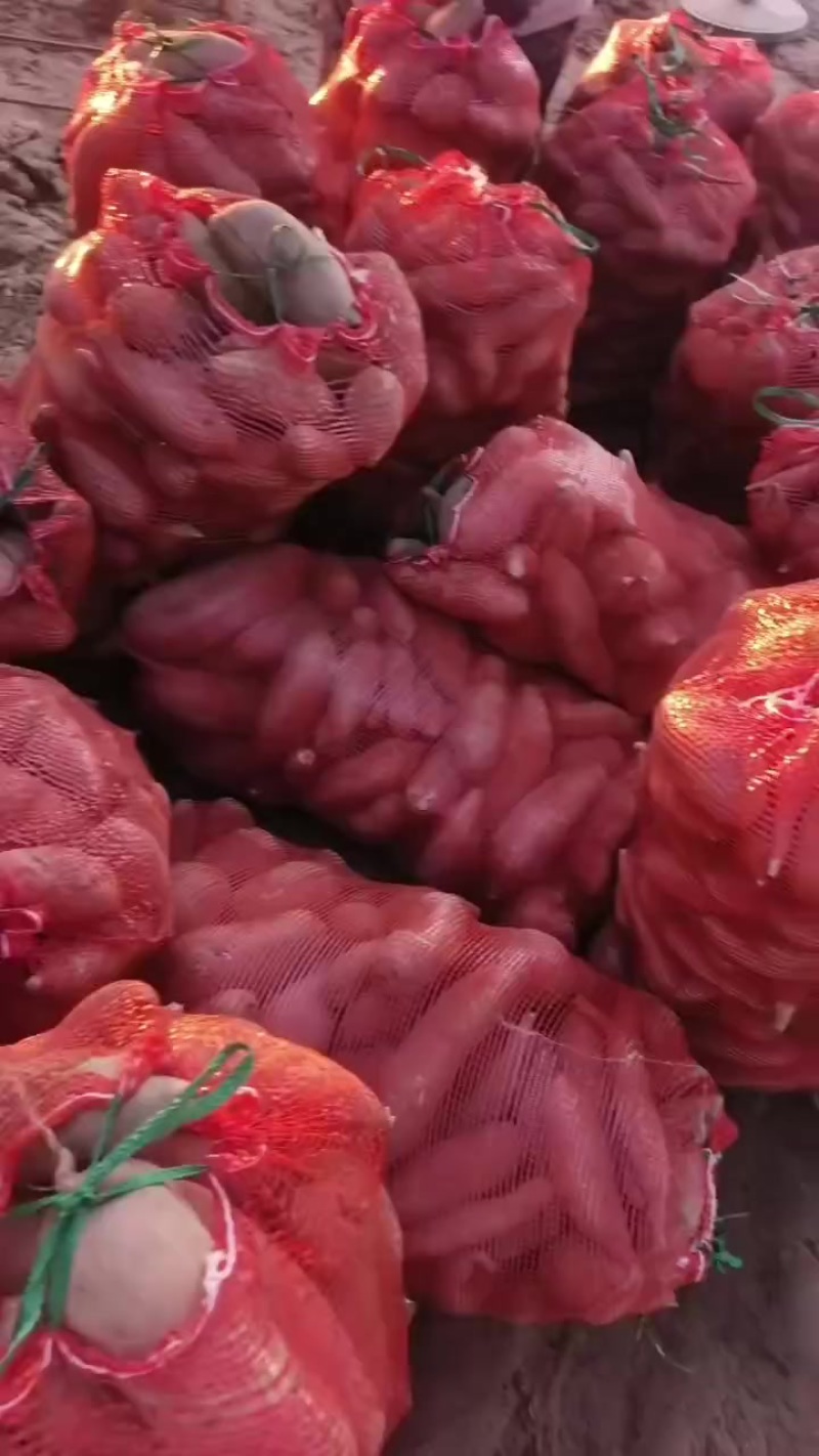 电商货龙九通货