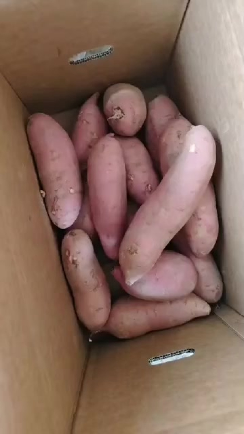 电商货龙九通货
