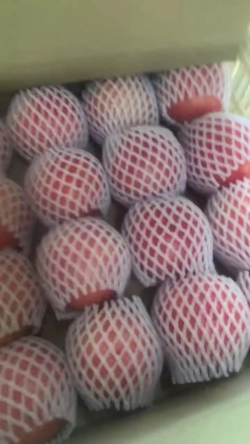 棚货，精品