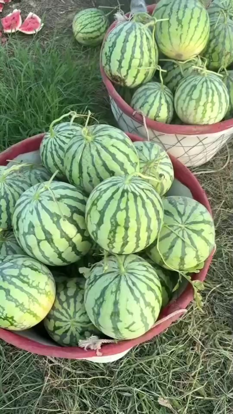 美都西瓜