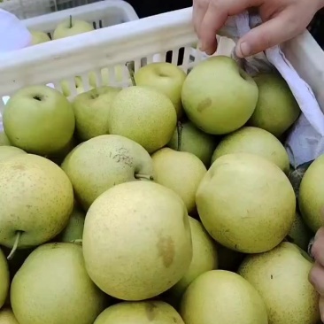 皇冠