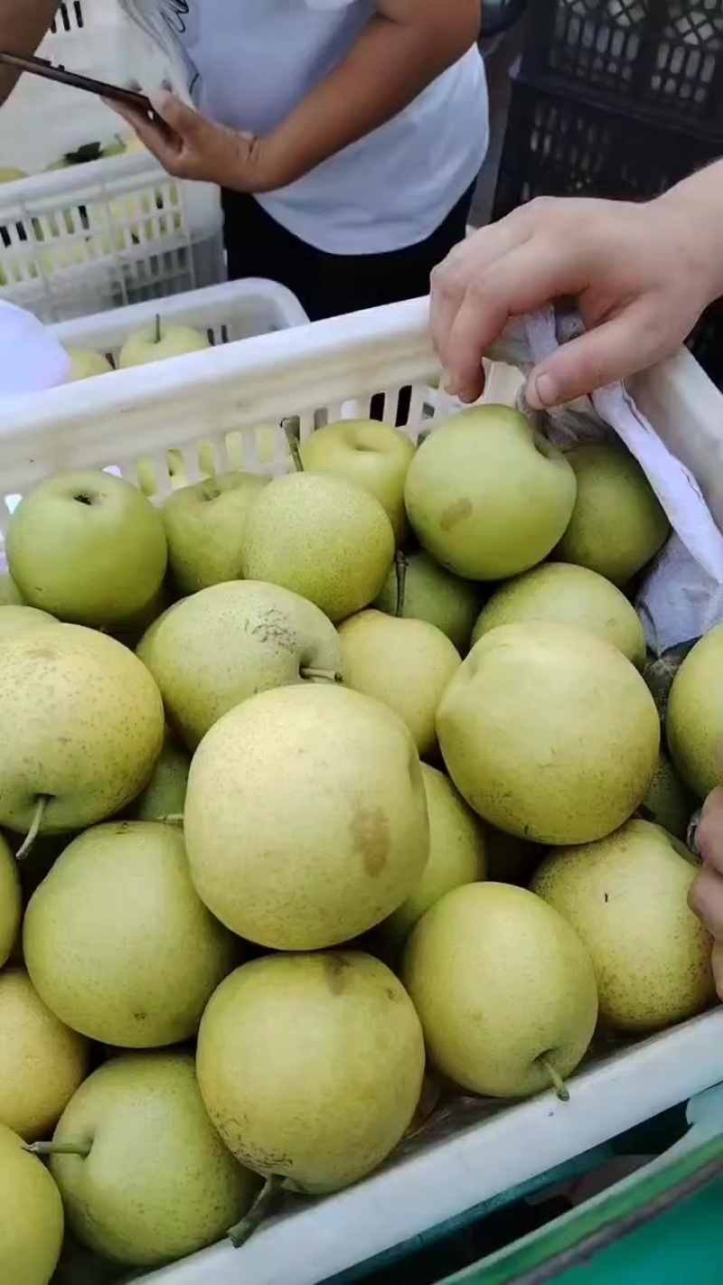 皇冠