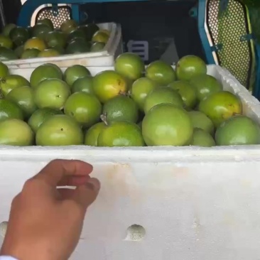 黄金百香果，原产地直供，量大优惠