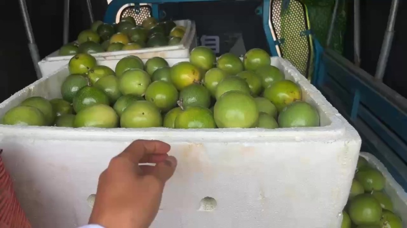 黄金百香果，原产地直供，量大优惠
