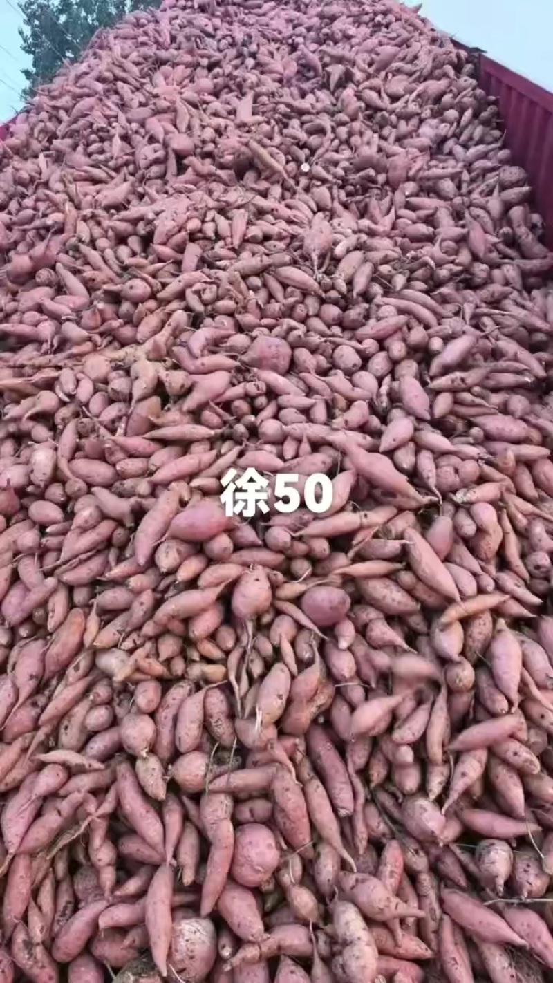 红薯
