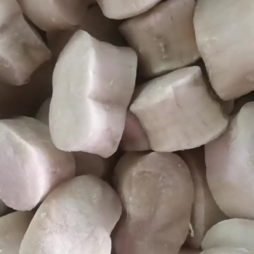 江瑶贝住