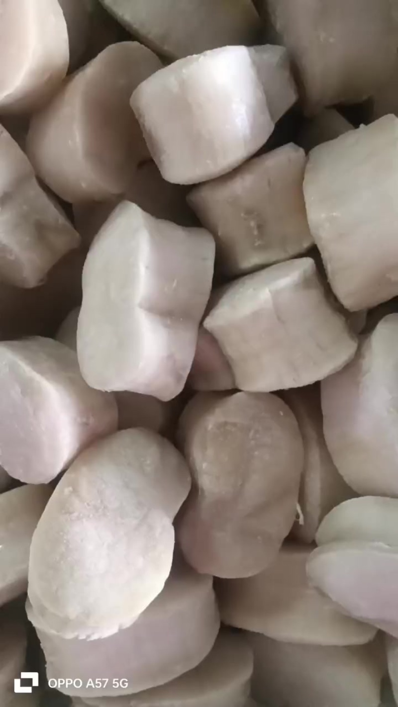 江瑶贝住